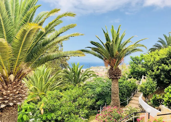 Regency Torviscas And Адехе