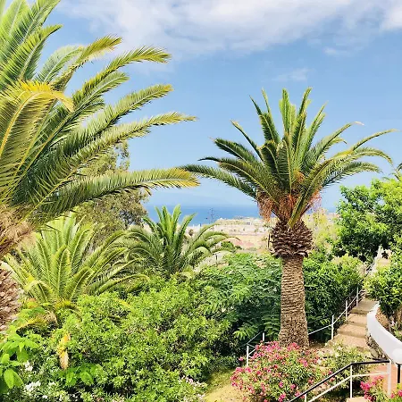 Aparthotel Regency Torviscas And